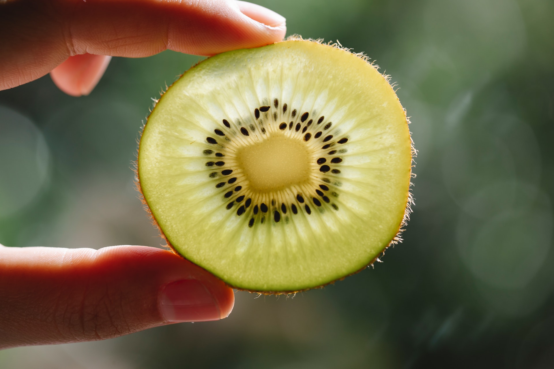 Close up photo of a kiwi between someones fingers. Eating kiwi can improve sleep quality